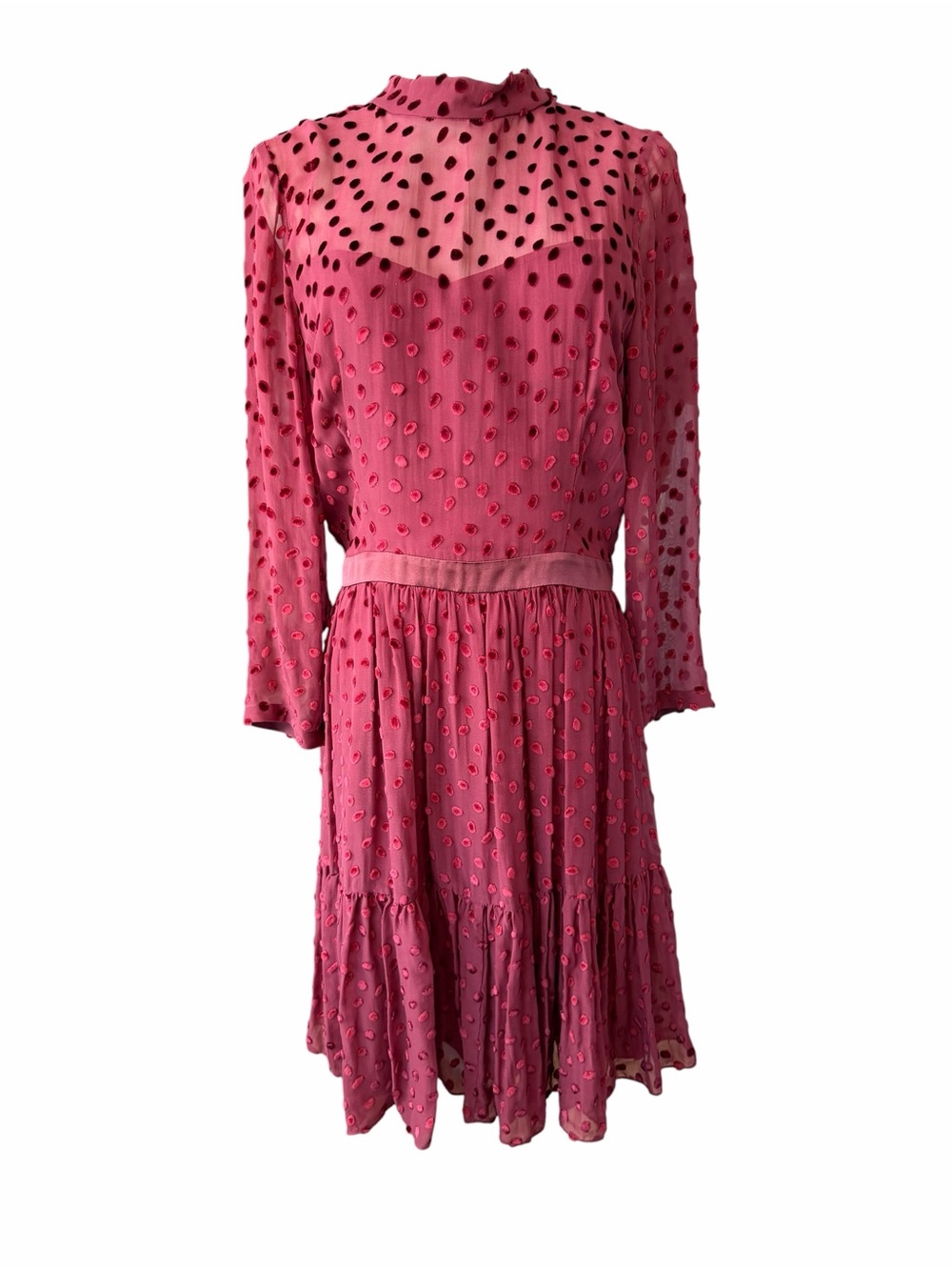R Rebecca Taylor Long Sleeve Velvet Dot Dress